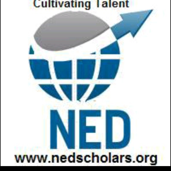 NEDS Logo